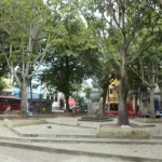 Design sem nome (19)